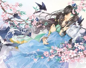 海角社区免费观看官方入口